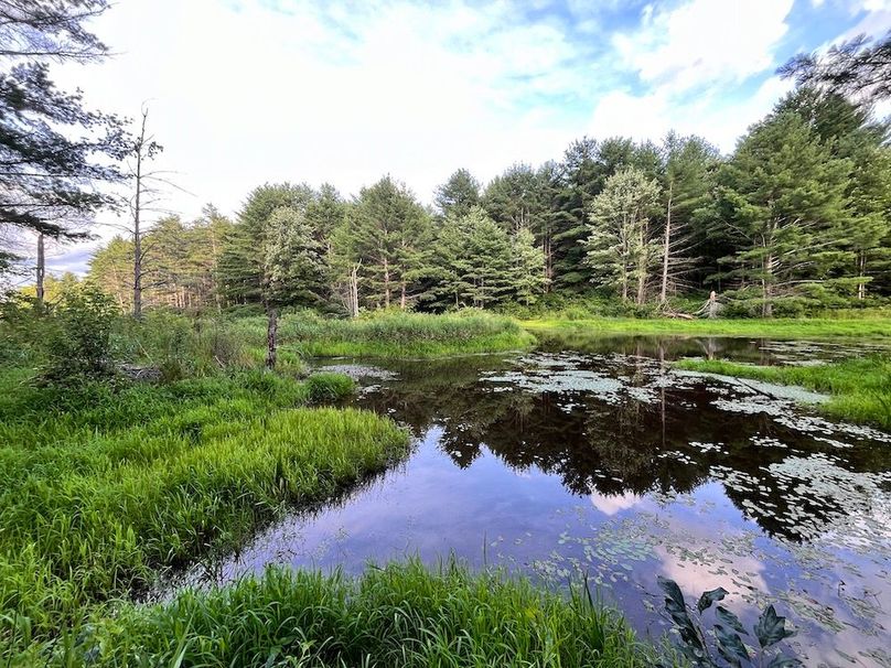 Chemung_78.26+Gutchess_Lumber_Photos_32