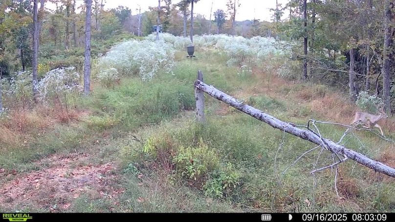 016578004709009-73-4-09162025080309-SYFW00859