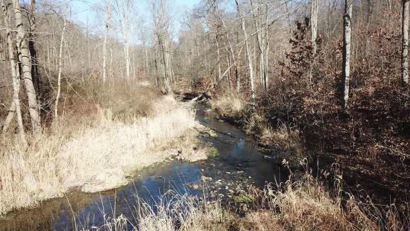 org_0cf03ce1a07b69bd_1702660090000