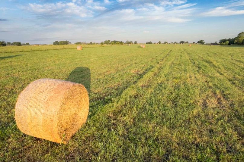Hunt County- 25 Acres Reshoot (16 of 17)