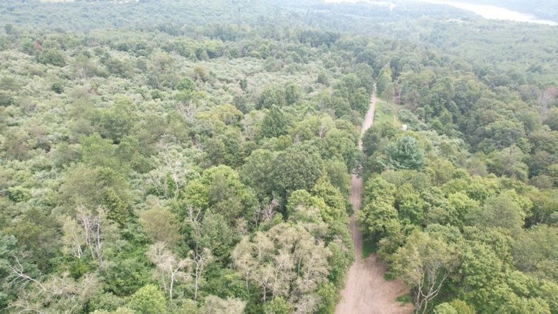 dji_fly_20250806_125130_539_1754499877234_photo