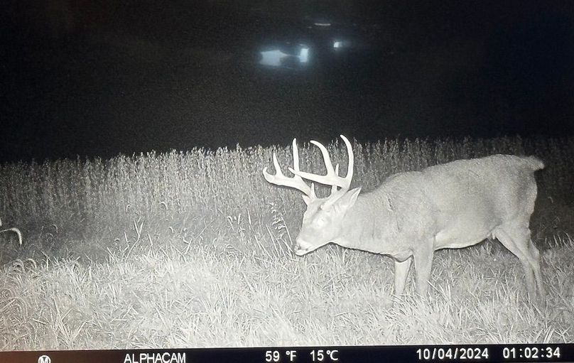 TRAIL CAM 6
