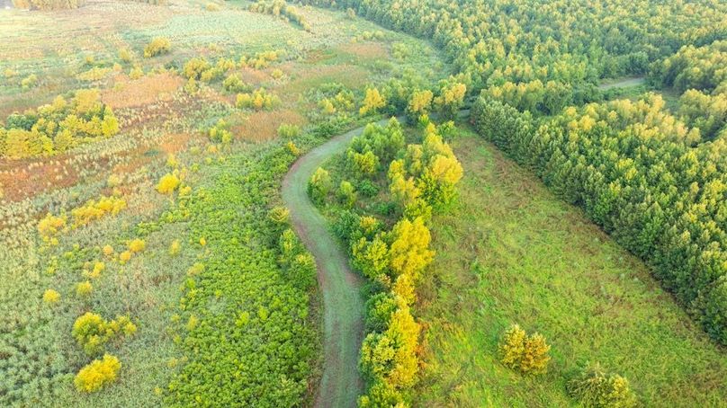 MadisonParLa1372-101