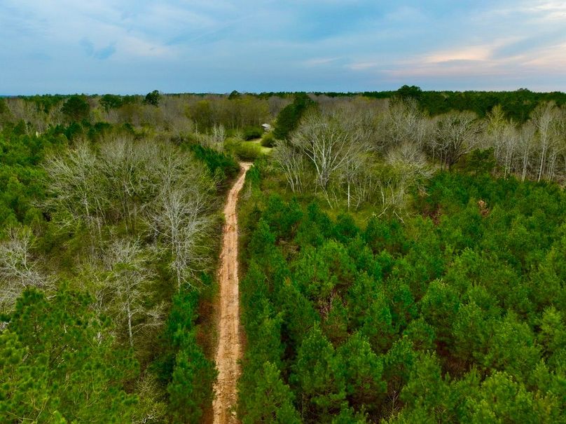 BD3EA60C-081E-4D73-879F-E0C0987EFC63_1_105_c