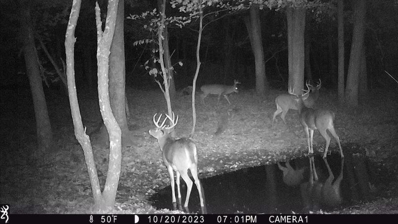 Sauk 174 Trailcam - 32