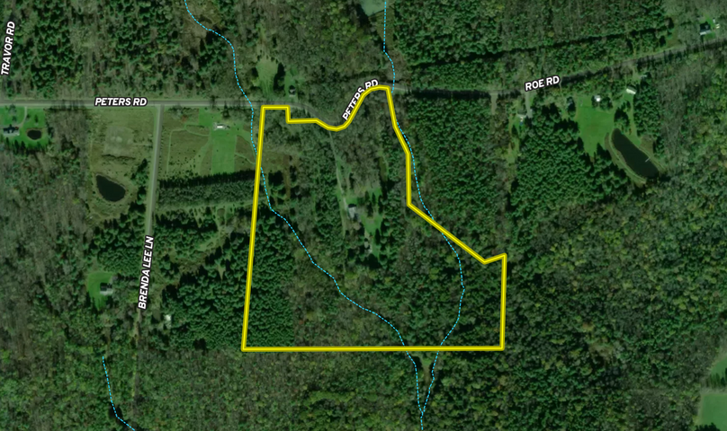 Tompkins_38.42_Shea_LandiD_3