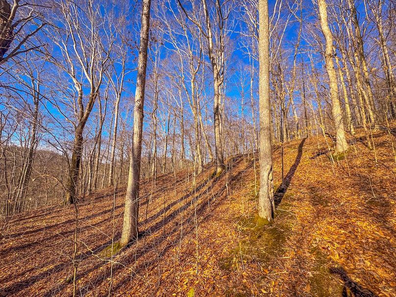 Lewis, WV 82.87 AC Barger-56