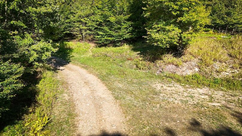 Oswego NY 18.18 Martin Photos 13