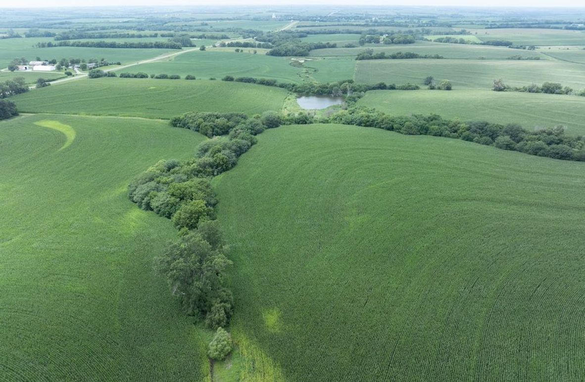 Copy of DJI_20250720133517_0068_D