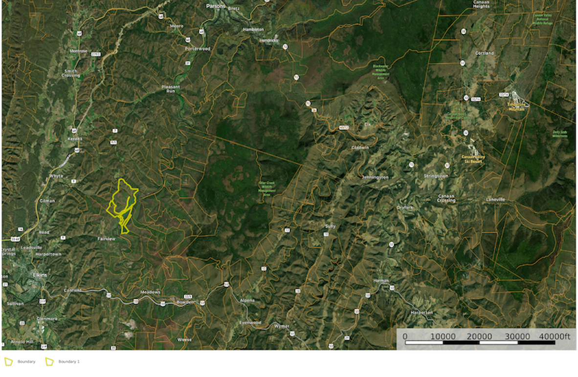 Rand Co WV 1360 Laurel Lands map 4 overview
