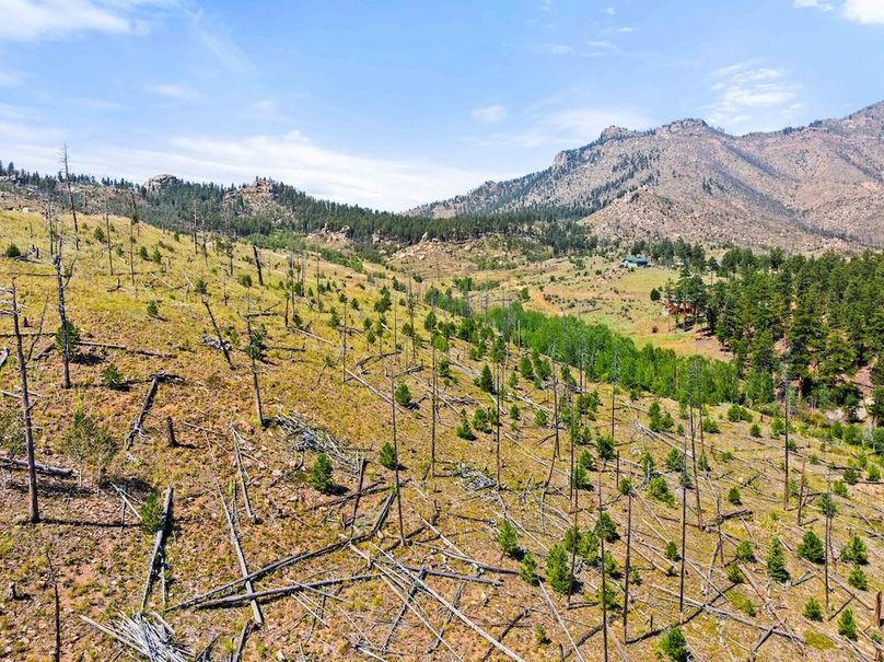 DJI_20250813111302_0015_D_1