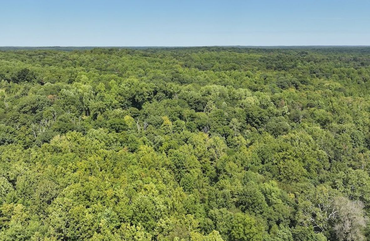 dji_fly_20240904_132516_0366_1725471197163_photo