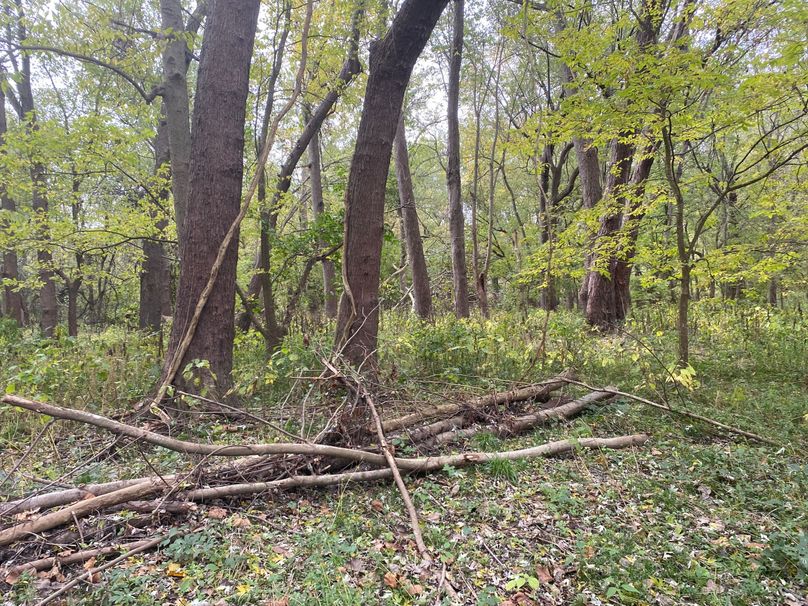 pics from late 2021 and early 2022. New plots being planted in Aug 2023 for new pics (66)