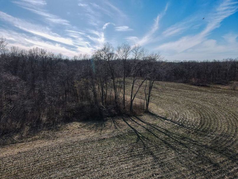 vandalia 450 (2)-2244