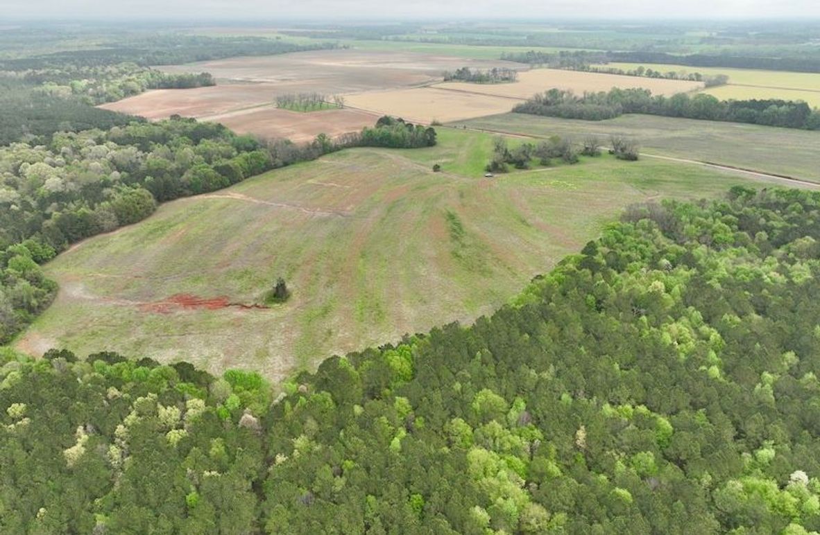 dji_fly_20250402_111058_628_1743607184188_photo