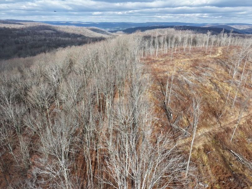 DJI_20251122114913_0048_D