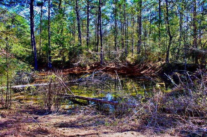 E79B1C23-E964-4724-A00E-4896DC0A33FD_1_105_c