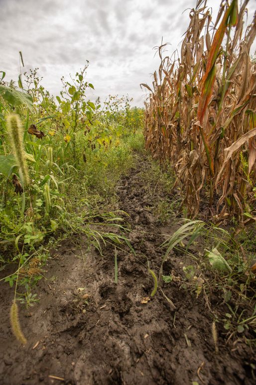 ATCHISON CO MO 31.47_16