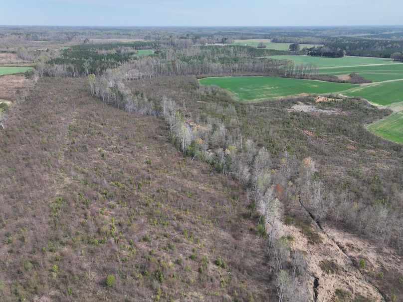 Copy of DJI_20260303062657_0515_D