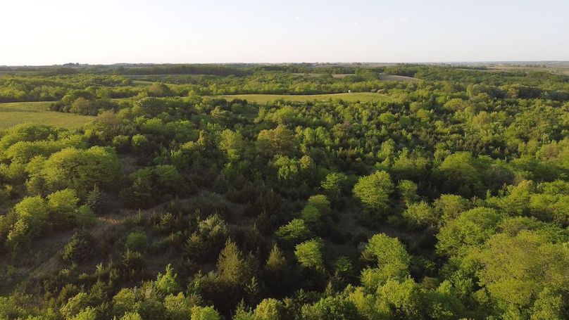 PAGE CO IA 130+_-_49