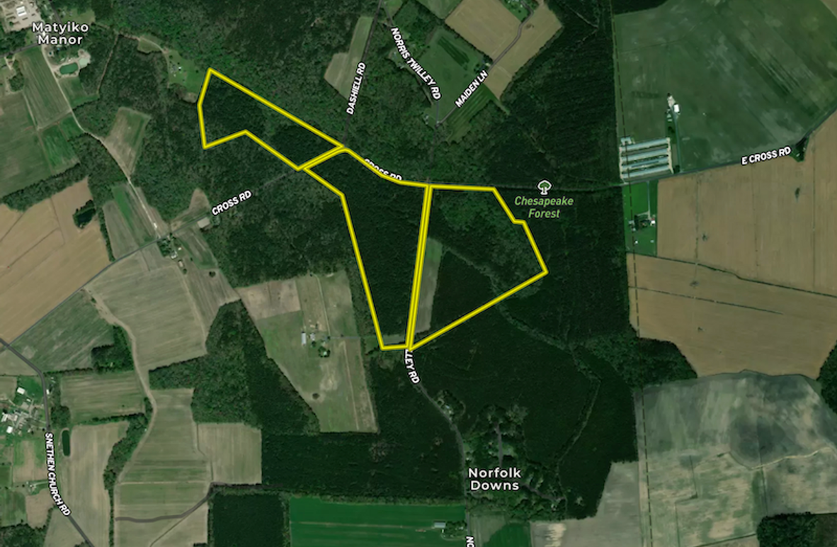 Screenshot 2025-05-28 at 3.14.45 PM