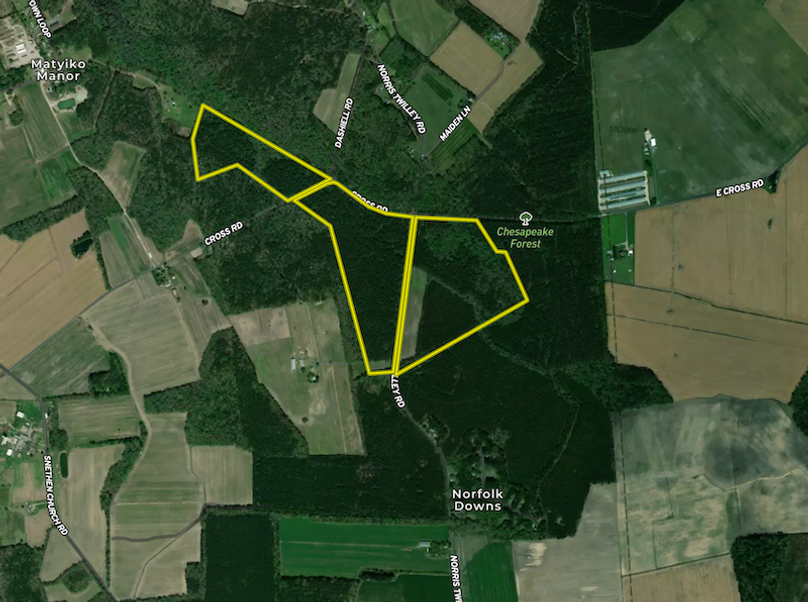 Screenshot 2025-05-28 at 3.14.45 PM