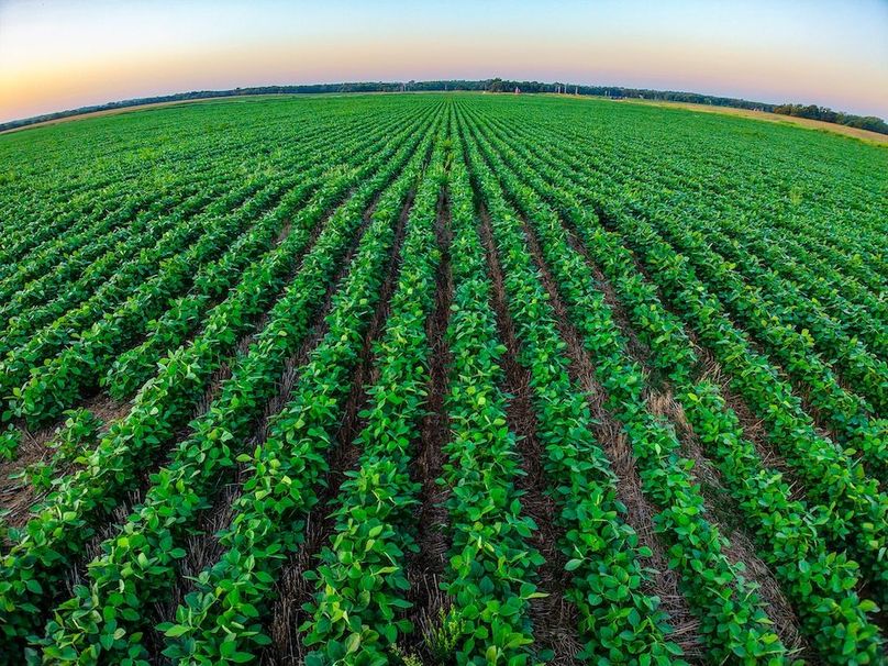 DJI_20250816065505_0709_D