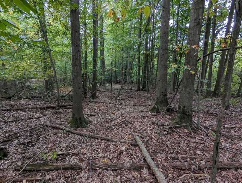 PXL_20230925_223233876.MP