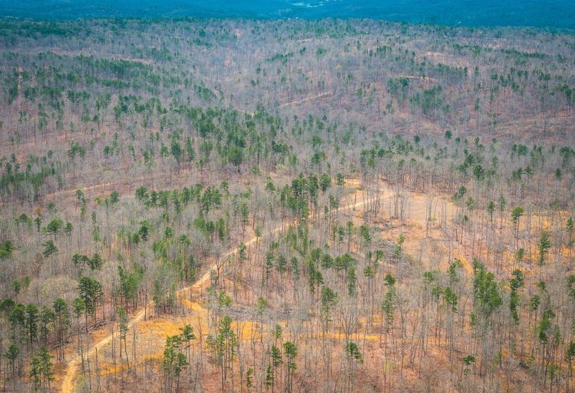 DJI_20250403121106_0581_D