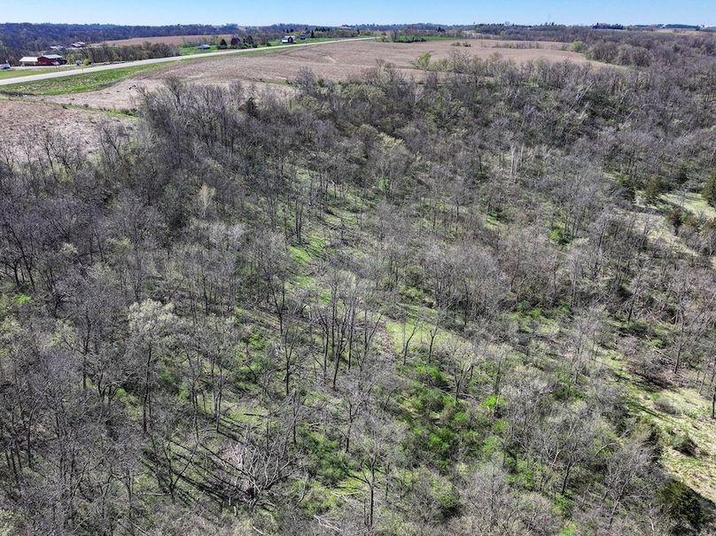 Strawberry Point- WTP-17