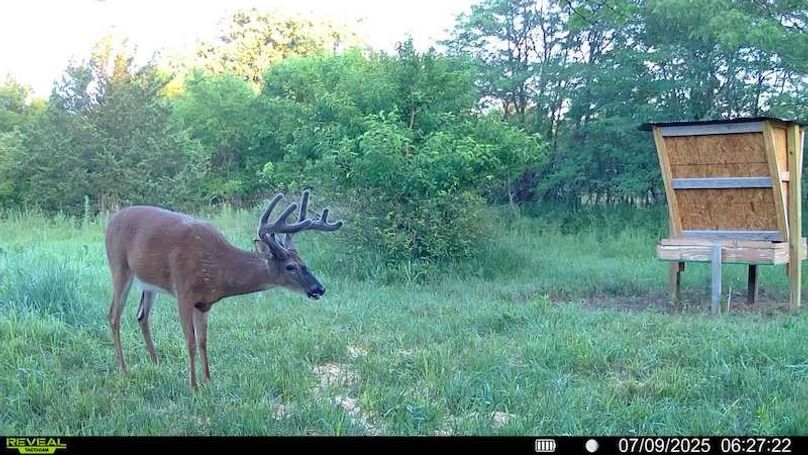 016578001722351-100-2-07092025062722-SYFW01203