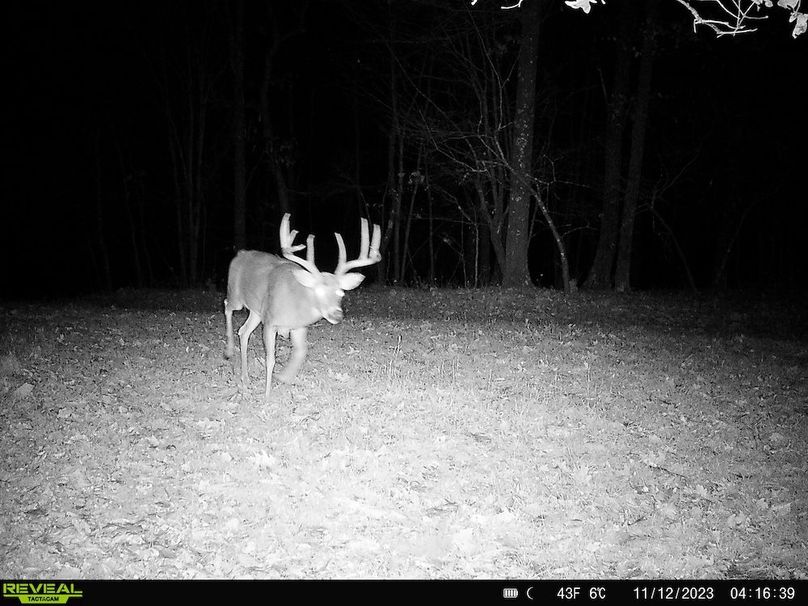 Sauk 174 Trailcam - 27