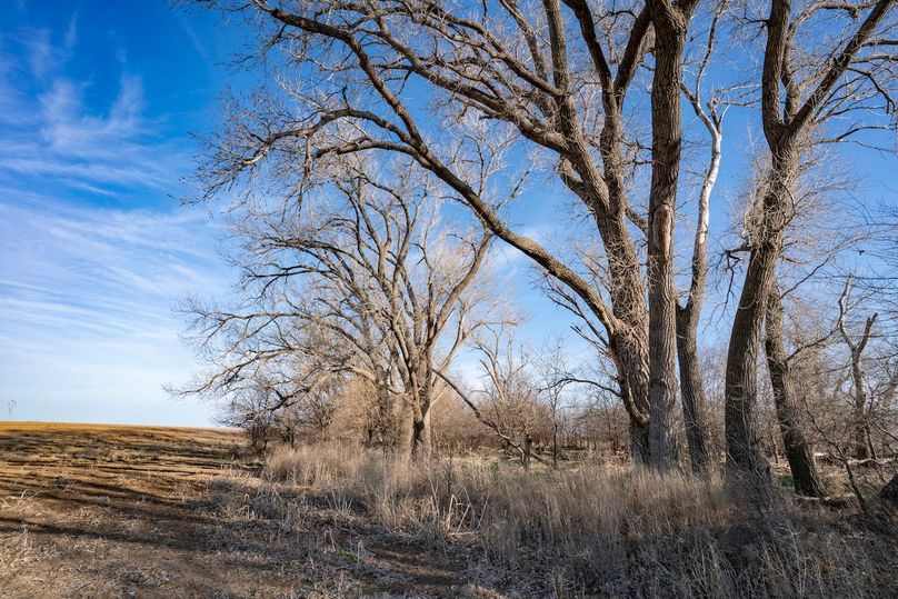 Central KS Tillable Tract Near Larned Whitetail Properties