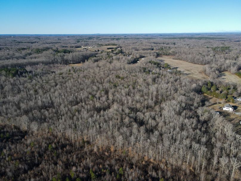 Copy of dji_fly_20240129_091908_761_1706538176692_photo