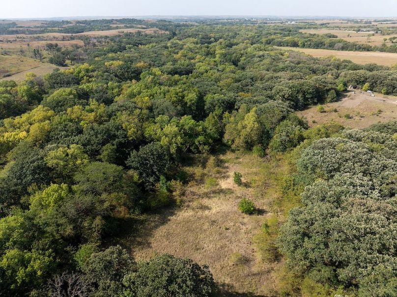 20240913-DJI_20240913105258_0110_D