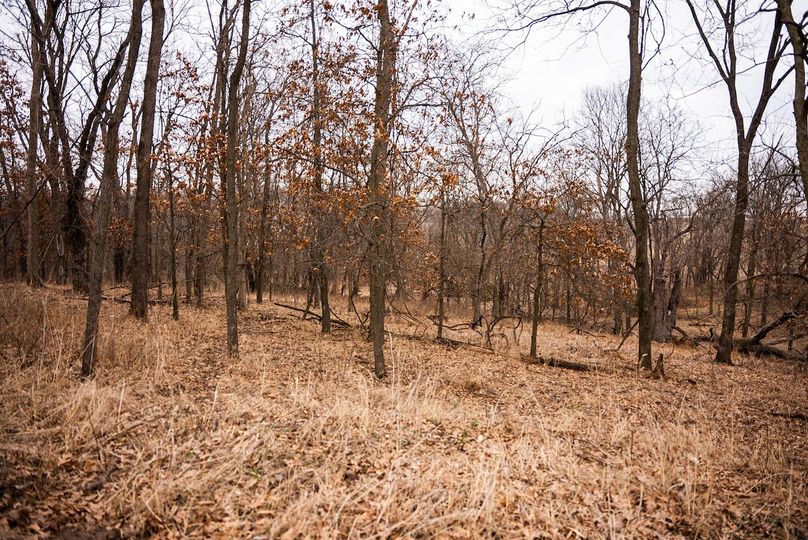 Pike IL 96.87 Adv Pro Photo-26