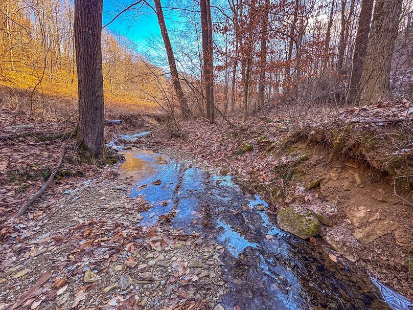 Pleasants, WV 81 AC Barron-06