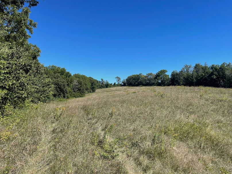 Grant 110 - 38 of 47