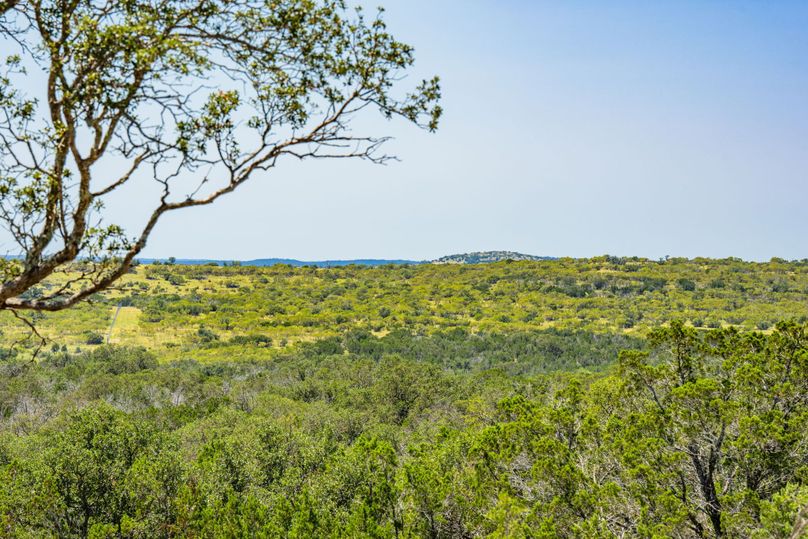 17-web-or-mls-DSC08411