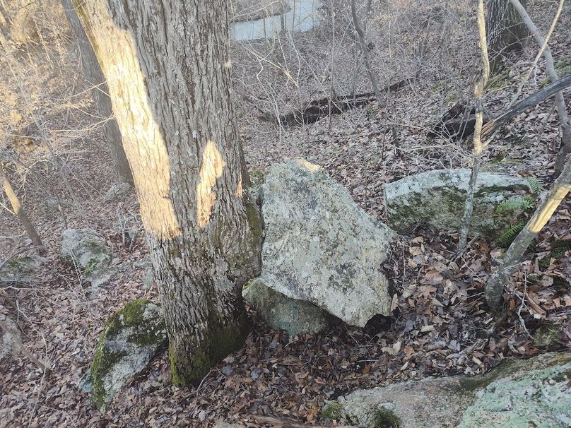 IMG_20240302_165358726