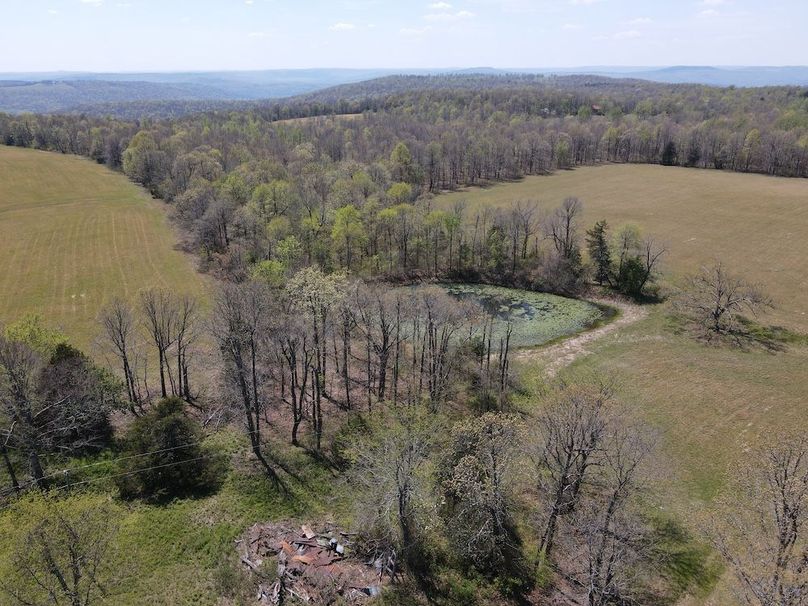 dji_fly_20260408_131926_435_1775672389022_photo