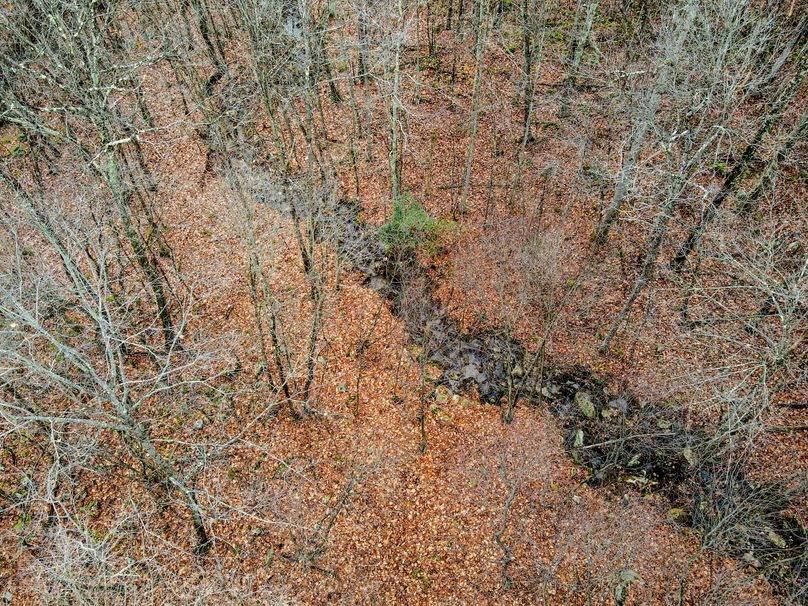 dji_fly_20231204_110226_610_1701705787017_photo 2