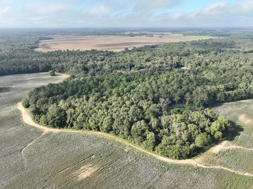 dji_fly_20251007_100724_219_1759846416533_photo