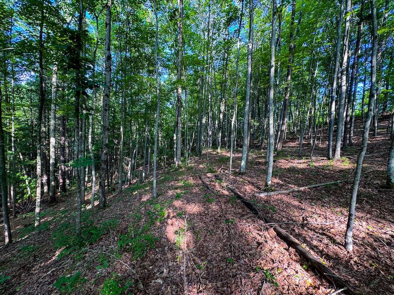 Lewis, WV 82.87 AC Barger-084