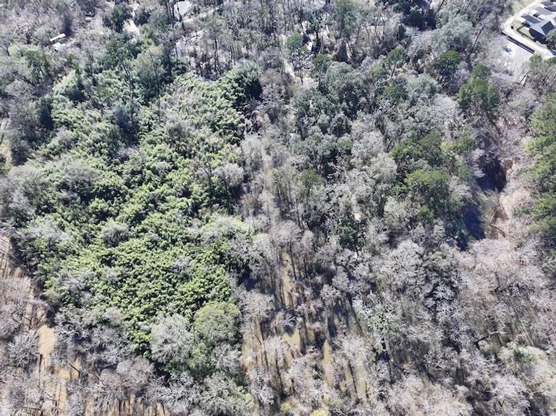 dji_fly_20260127_130134_0997_1769549078474_photo