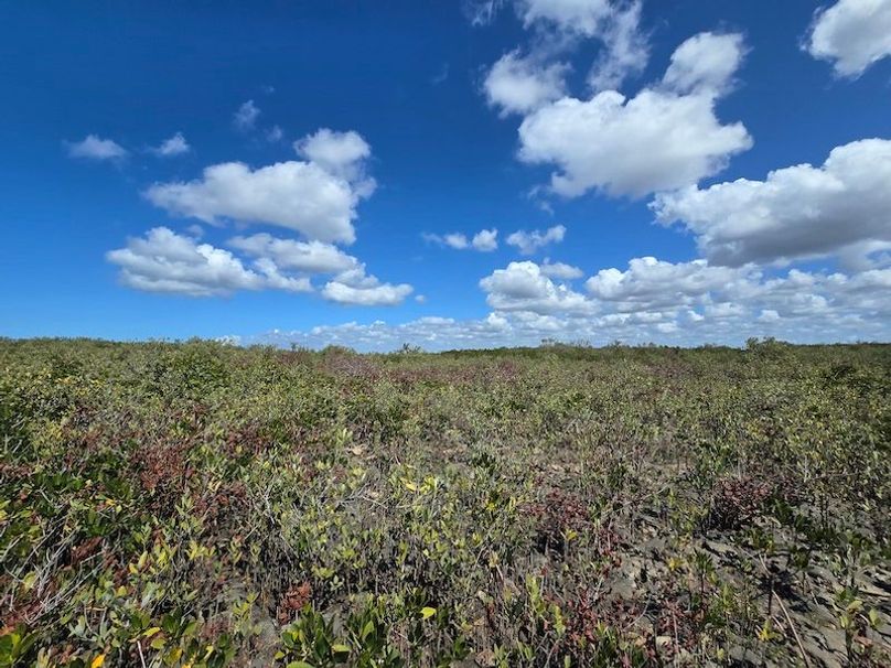 17.17ac, Citrus, Josiah Ronco55