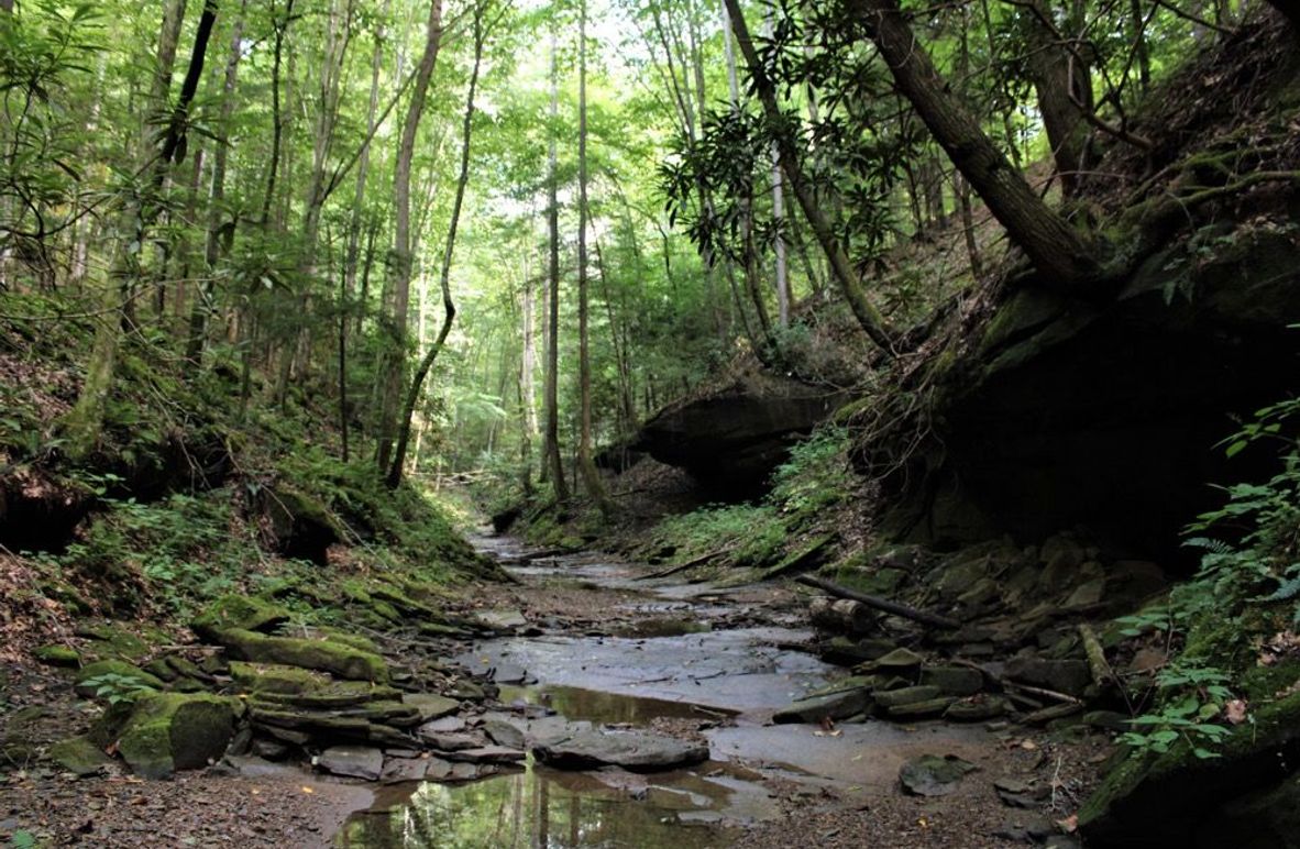 001 calendar shot of Little Rock Lick Creek along the north boundary