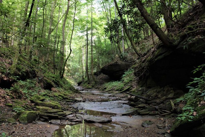 001 calendar shot of Little Rock Lick Creek along the north boundary