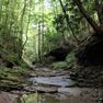 001 calendar shot of Little Rock Lick Creek along the north boundary