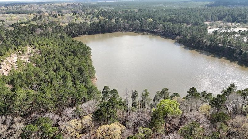 dji_fly_20260305_050348_0085_1772672664277_photo